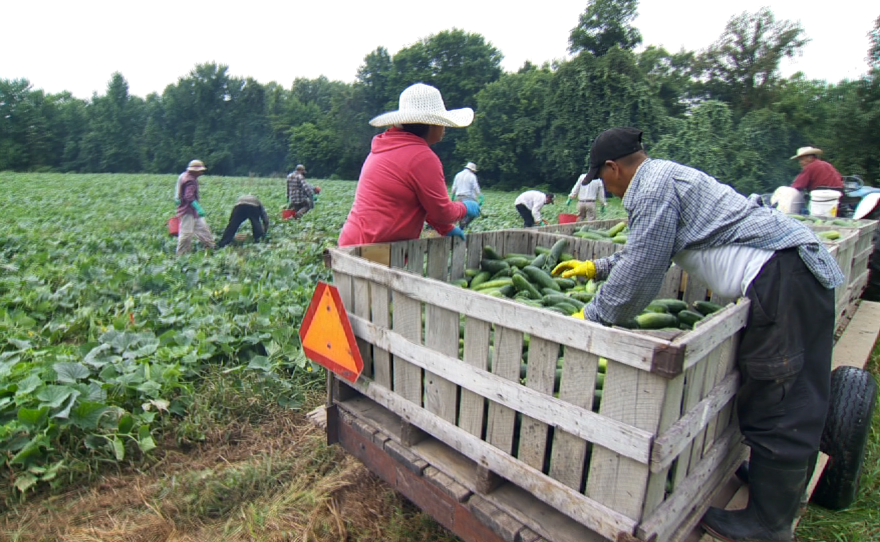 Rendleman Orchards