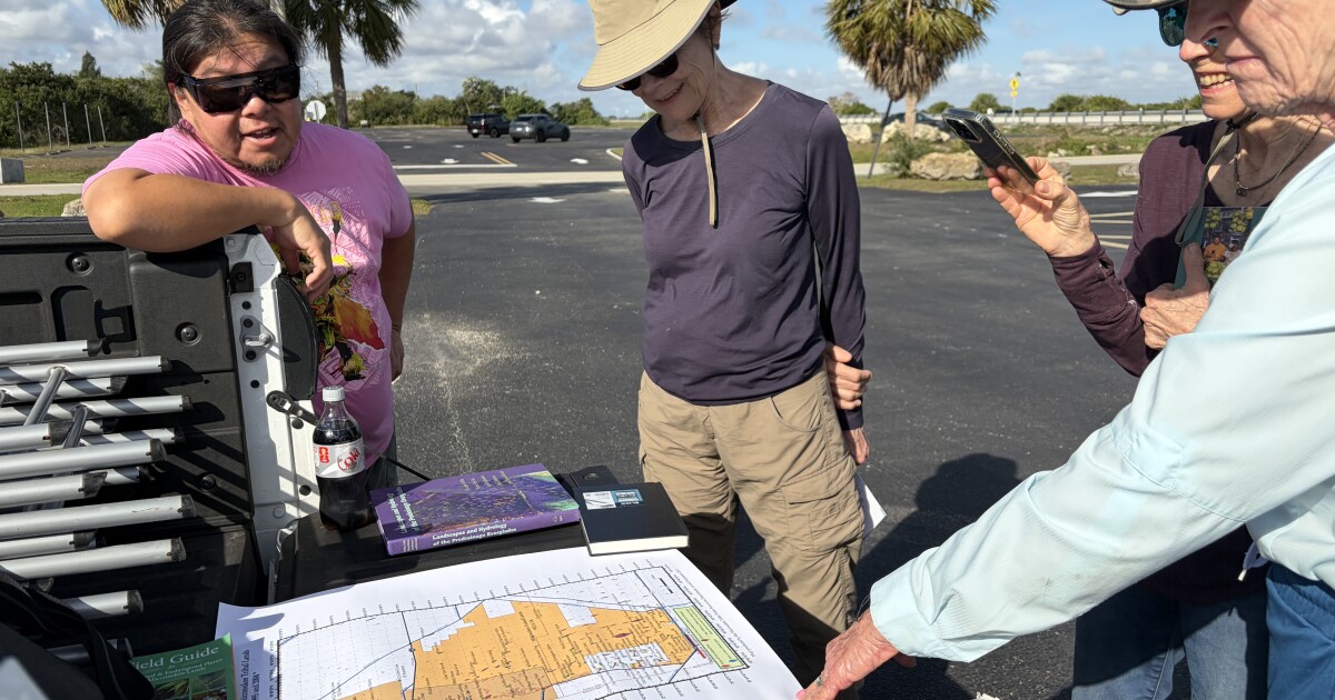 Ankle-deep in the Everglades, a community walking tour centers Miccosukee stories