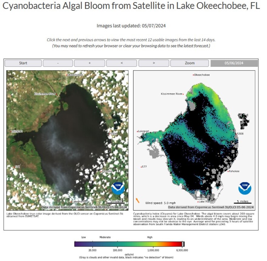 Satellite image provided by NOAA taken on Monday May 6th. The image taken on Tuesday May 7 also confirms alge on the Lake but cloud cover prevented an accurate estimate of the total are of the bloom.