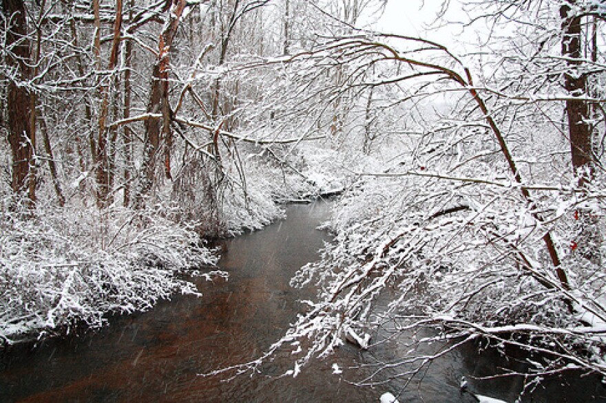 Snow in Michigan