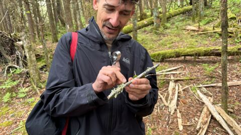 Jason Hollinger retired early after the dot-com boom. Now, he surveys biodiversity in the Great Smoky Mountains with his volunteer crew of other retirees.