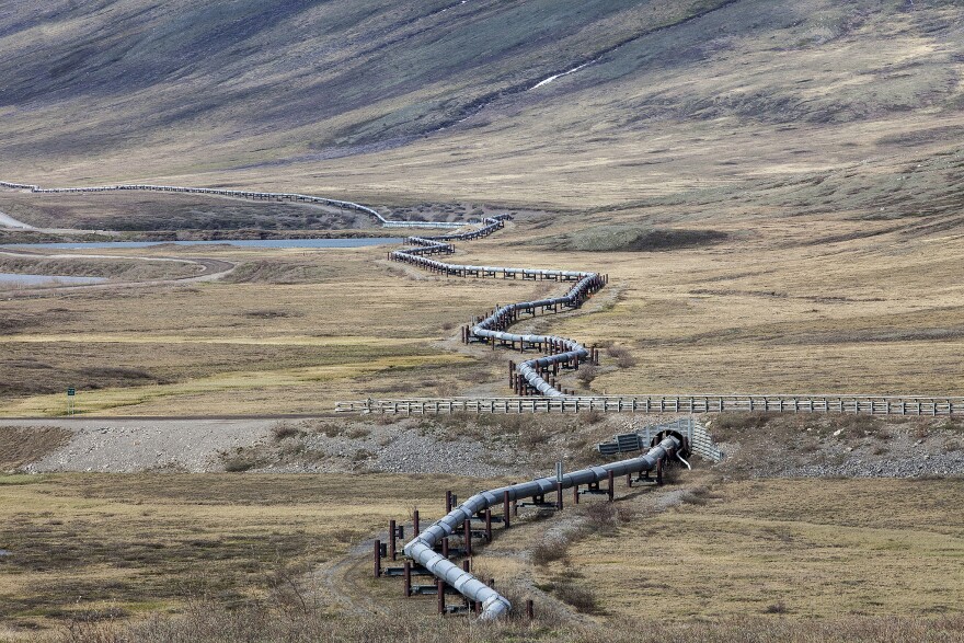 An above-ground section of the Trans-Alaska Pipeline System near the Toolik Lake Research Station in the North Slope Borough. (Photo by Rashah McChesney/Alaska’s Energy Desk)
