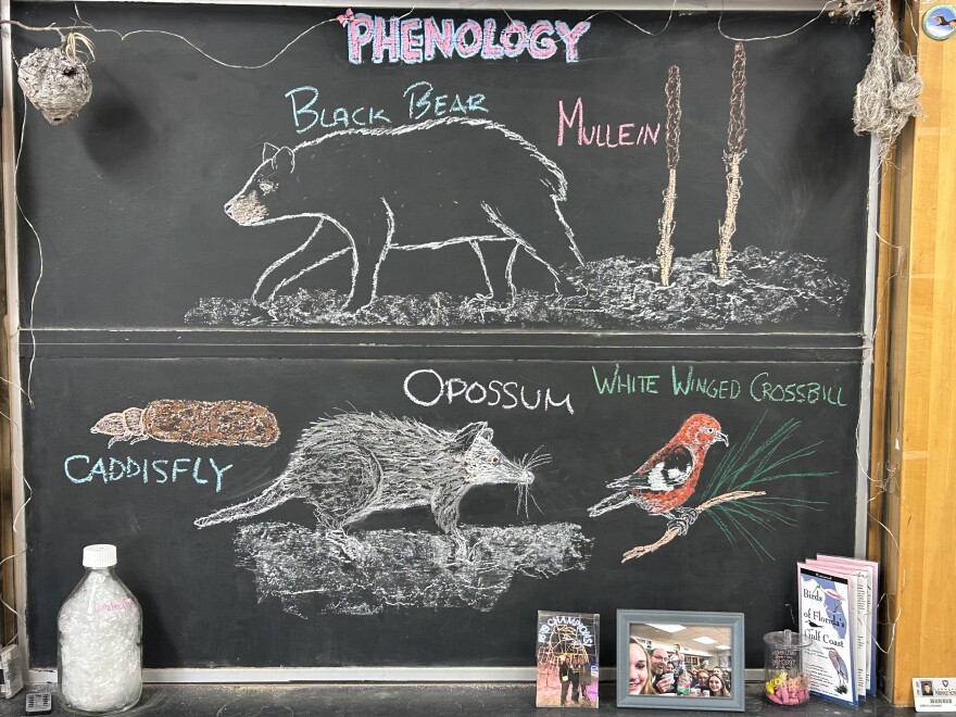 Chalk illustrations show a caddisfly, opossum, White-winged Crossbill, mullien, and black bear.