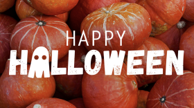 A collection of bright orange and red pumpkins fills the background behind large white text reading “Happy Halloween,” with a small ghost incorporated into the lettering.