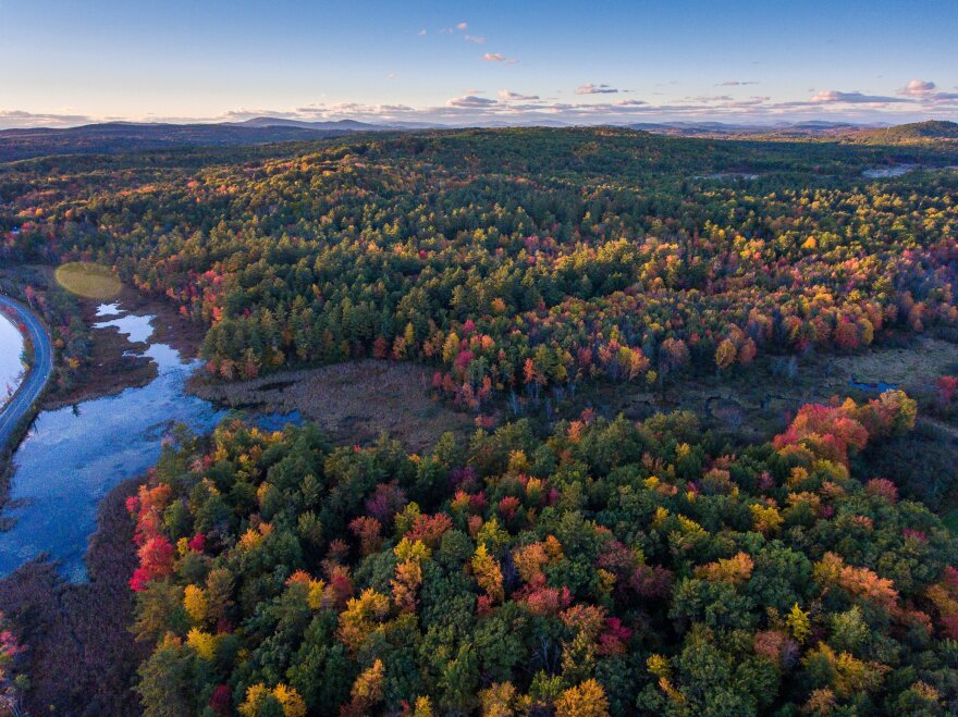 This aerial photo from 2018 shows the Maine woods near Lake Auburn.