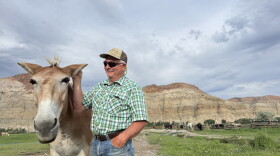 A man and a mule stand in a pasture in front of a mountain.