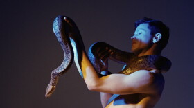 Perfume Genius (Courtesy of Grandstand Media)