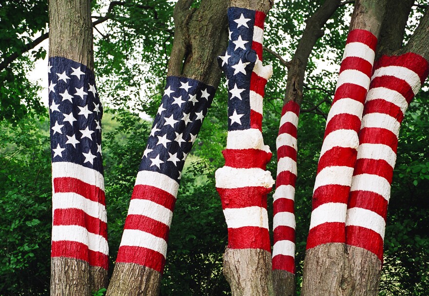 Robery Carley has spent twenty years finding the American Flag painted in unusual places, like this tree stand in Newtown, CT.