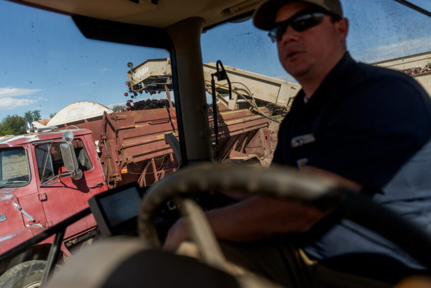 Kenny McFarland harvests onions on his family’s farm in western Weber County on Friday, Sept. 26, 2025.