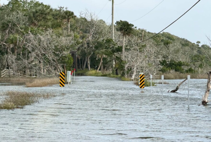 Nor'easter and King Tides caused coastal flooding at the Timucuan Ecological & Historic Preserve﻿ in Northeast Florida.