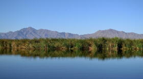 wetlands and mountains