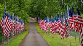 A display of United States flags on Memorial Day along a road in a cemetery near Dallas, Oregon.
