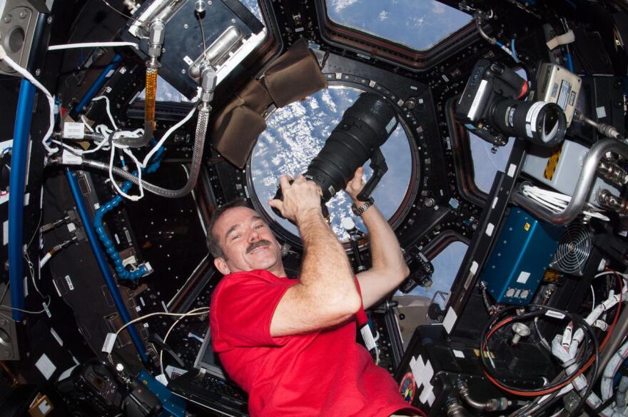 View of Canadian Space Agency (CSA) Chris Hadfield, Expedition 34 Flight Engineer (FE), using still camera, in the Cupola Module. Photo was taken during Expedition 34.