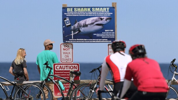 Cyclist stand in front of a sign warning beachgoers about sharks at Lecount Hollow Beach on May 22, 2019, in Wellfleet, Massachusetts.