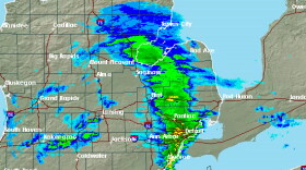 The spring storm brought rain, snow, ice... no cats and dogs yet.