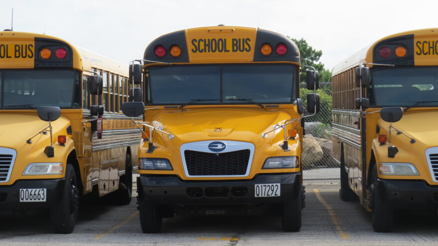 A line of school buses