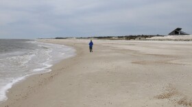 FILE - Miles of empty beach and billions of sea shells await a lone beachcomber at St. George Island State Park near Apalachicola in the Florida Panhandle, Feb. 5, 2007. The nine-mile (14-kilometer) stretch of Florida sugar-white sand in an unspoiled natural setting alongside the Gulf of Mexico is the nation's best beach for 2023, according to the annual ranking released Thursday, May 18, 2023, by the university professor known as “Dr. Beach.”