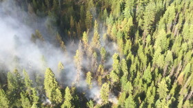 The Lee Creek fire burning near Lolo Hot Springs was spotted July 29, 2018 from a Forest Service detection flight.