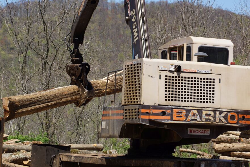 6-Loading-tree-for-cutting.jpg