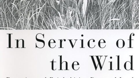 a book cover with praire and it says "in service of the wild"