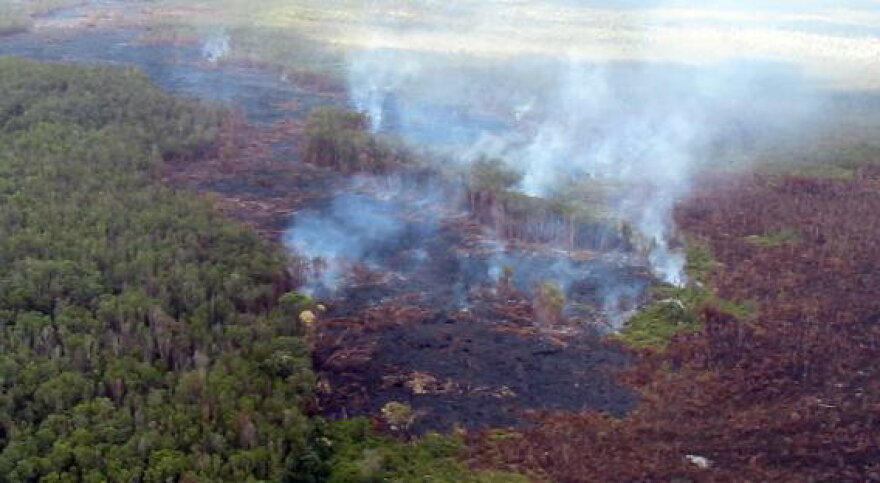 USGS Hawaiian Volcano Observatory
