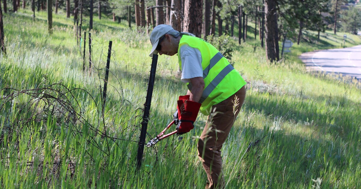 Barbed wire fences dot the West. There’s a growing movement to take them down -- for wildlife