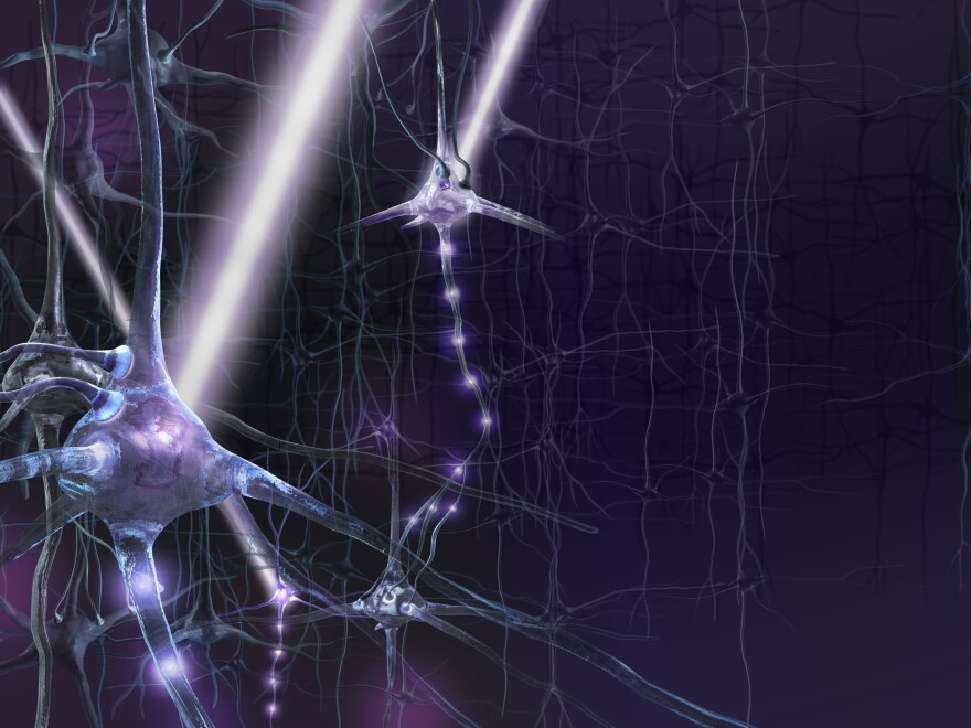 A technique called optogenetics is being used in the laboratory to observe and control what brain circuits are doing in real time.