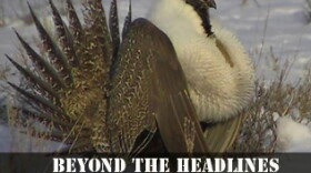 A discussion of saving the Sage Grouse and Reno's Strategic Plan