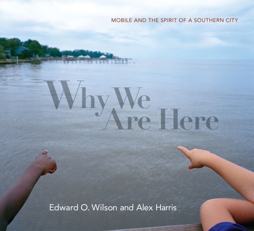 The cover of the book 'Why We Are Here' by Edward O. Wilson and Alex Harris.