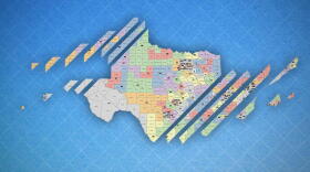 The legality of Texas' legislative and congressional districting has been contested in federal courts in recent years.