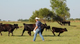 Several Indiana residents surveyed for the Indiana University report were concerned farmers in their communities would have to stop raising cattle due to the methane they produce.