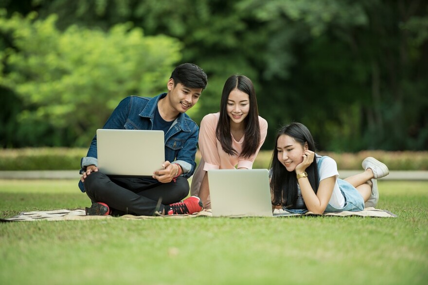Sasint via Pixabay