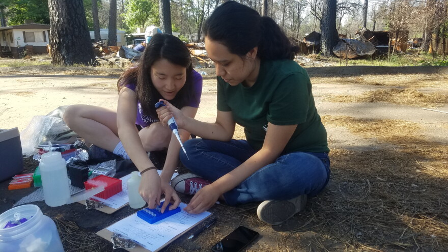 Kristen Jung, PhD candidate at Northwestern University (left), and Chico State civil engineering major Erica Plasencia-Campos (right) collecting water samples after the 2018 Camp Fire in Paradise, CA.