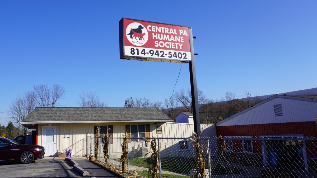 Central PA Humane Society expanding to address overpopulation and improve quarantine methods - Vimarsana News