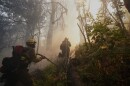 Firefighters battle wildfires in Los Alerces National Park, Argentina, Saturday, Jan. 31, 2026. (AP Photo/Victor R. Caivano)