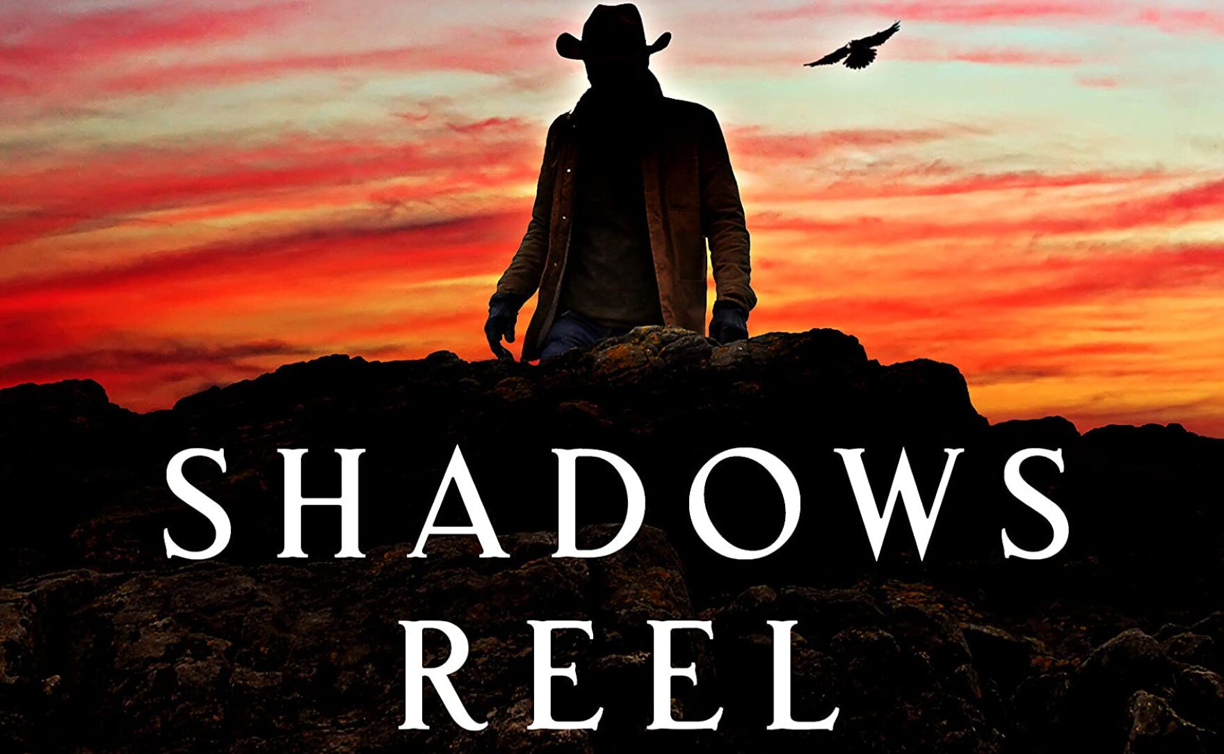 Shadows Reel A Joe Pickett Novel