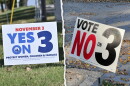 Two separate images, side by side. Each shows a yard sign. One on left reads "Yes on 3." The one on right reads "Vote No on 3."