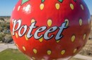Poteet's famous strawberry water tower