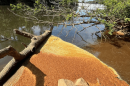 Foam on the Tar River near the outfall of a Rocky Mount water treatment plant.