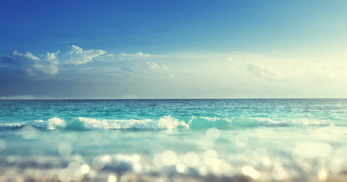 Treasure Coast Marine Scientists On Leading Edge Of Addressing The Post