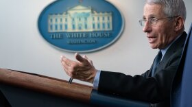 Dr. Anthony S. Fauci, director of the National Institute of Allergy and Infectious Diseases, gives remarks at a coronavirus update briefing at the White House in March 2020.  Fauci visited students and staff at Washington University Medical School on Thursday. 