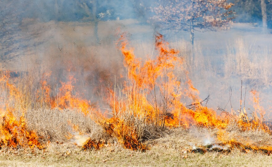 Flames from a controlled burn done at Fairview Park in Normal.
