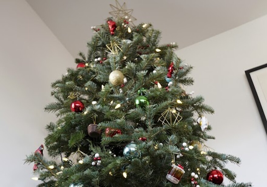 A decorated Christmas tree is watered at a home in Los Angeles on Monday, Dec. 5, 2022. Christmas trees must be kept watered and can later be recycled or used as bird habitat.