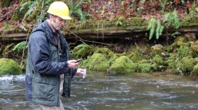 Biologist Shaun Clements counts down the seconds before emptying a vial of synthetic DNA into a stream near Alsea, Oregon.