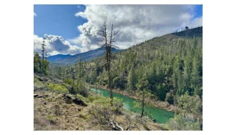 Eight Dollar Mountain Botanical Area