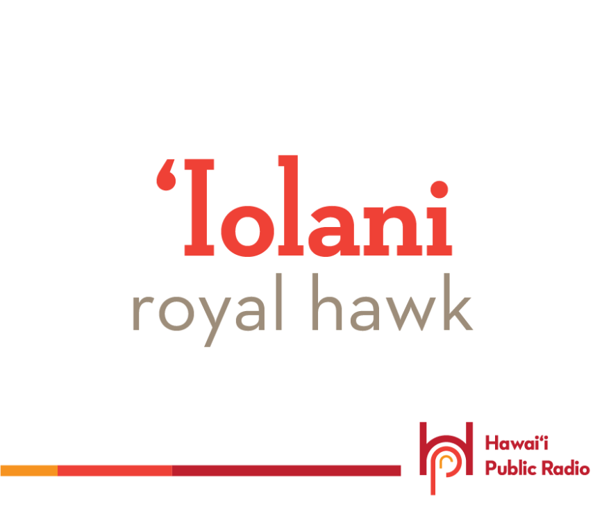 Many people who don't speak Hawaiian ask how to make the glottal stop in your speech at the beginning of a word. ʻIolani is a good example. ʻIolani is the name of a palace, an avenue, a fine school, and many other things. And ʻiolani means “royal hawk.”