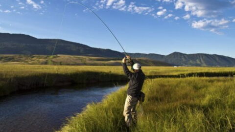 A man holds his arms over his head, casting a fly rod in tall grass next to a river