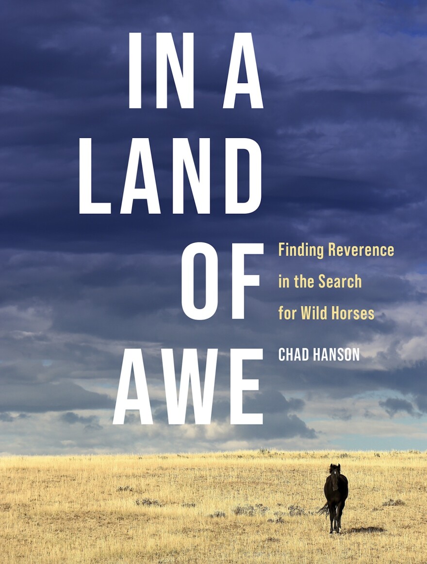 The cover of the "In A Land of Awe" book.