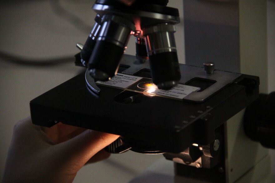 A slide being placed under a microscope