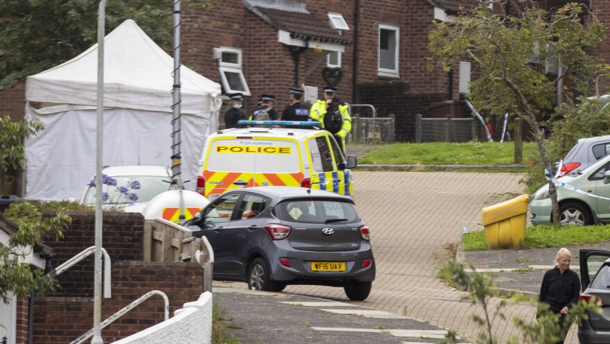 William Dax/Getty Images